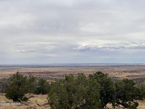 Tiny photo for Lot 8 N8526, Concho, AZ 85924 (MLS # 259186)