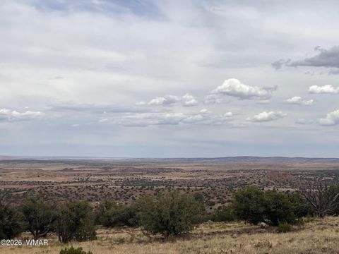 Tiny photo for Lot 8 N8526, Concho, AZ 85924 (MLS # 259186)