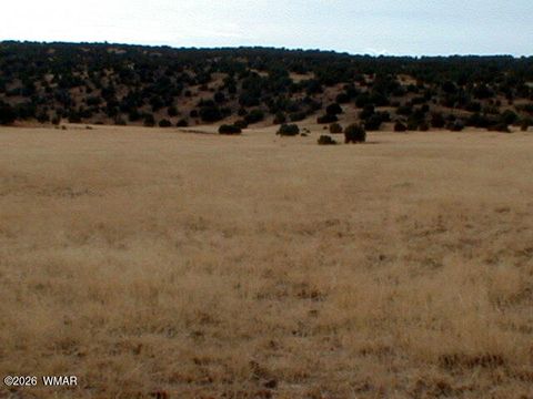 Tiny photo for Lot 8 N8526, Concho, AZ 85924 (MLS # 259186)