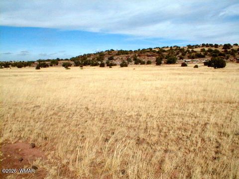 Tiny photo for Lot 8 N8526, Concho, AZ 85924 (MLS # 259186)