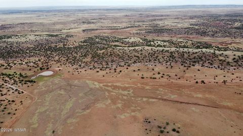 Tiny photo for Lot 8 N8526, Concho, AZ 85924 (MLS # 259186)