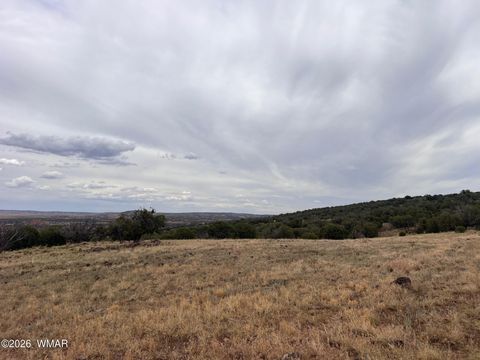 Tiny photo for Lot 8 N8526, Concho, AZ 85924 (MLS # 259186)