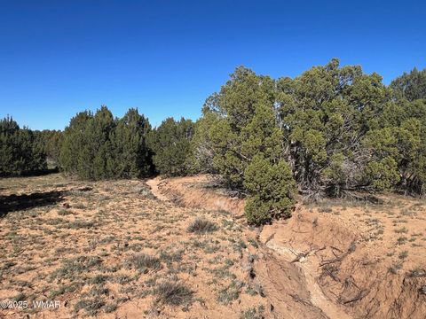 Tiny photo for 96 CR3041, Concho, AZ 85924 (MLS # 258325)