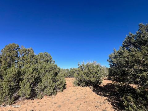 Tiny photo for 96 CR3041, Concho, AZ 85924 (MLS # 258325)