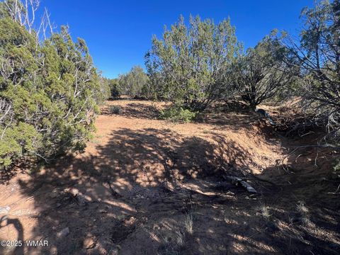Tiny photo for 96 CR3041, Concho, AZ 85924 (MLS # 258325)