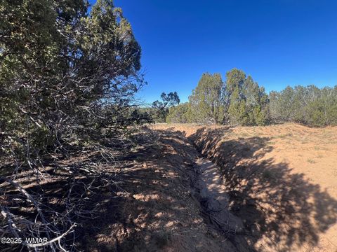 Tiny photo for 96 CR3041, Concho, AZ 85924 (MLS # 258325)