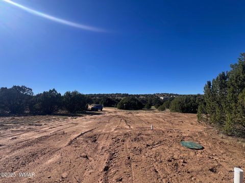 Tiny photo for 96 CR3041, Concho, AZ 85924 (MLS # 258325)