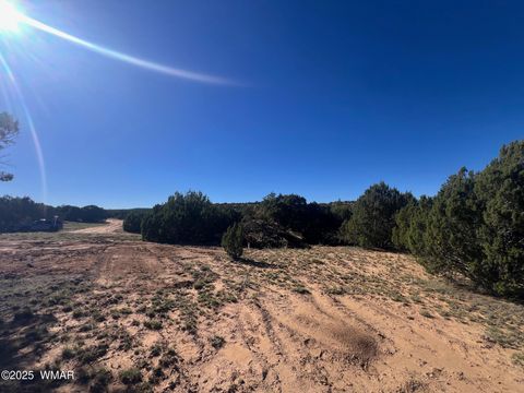 Tiny photo for 96 CR3041, Concho, AZ 85924 (MLS # 258325)