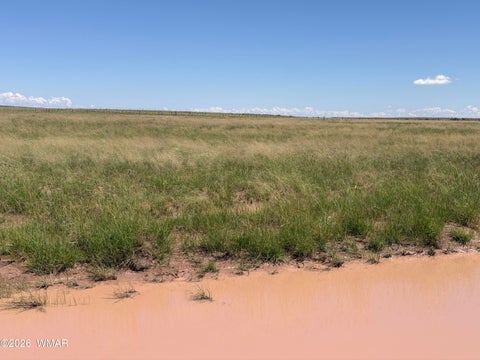 Tiny photo for 1 N 180 Road, Woodruff, AZ 85942 (MLS # 263093)