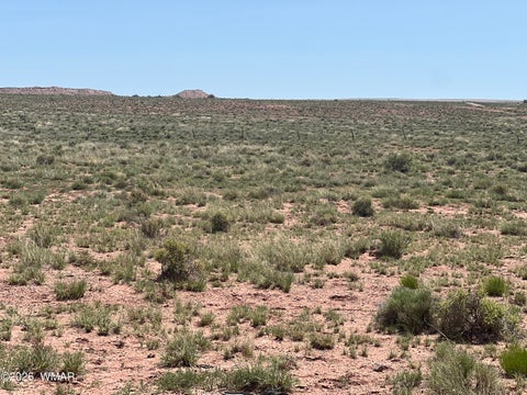 Tiny photo for 1 N 180 Road, Woodruff, AZ 85942 (MLS # 263093)