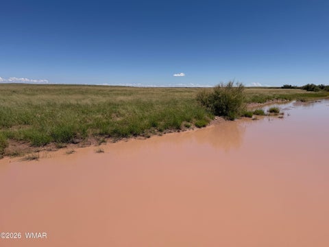Tiny photo for 1 N 180 Road, Woodruff, AZ 85942 (MLS # 263093)