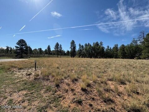 Tiny photo for 2221 W Edgewater, Show Low, AZ 85901 (MLS # 257752)