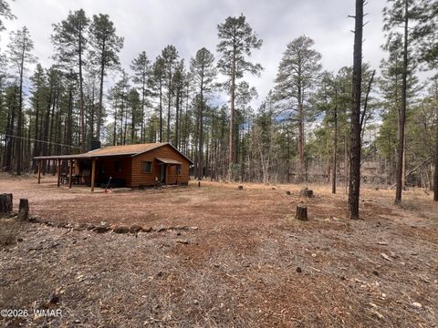 Tiny photo for 3051 Antelope Trail, Pinetop, AZ 85935 (MLS # 259776)