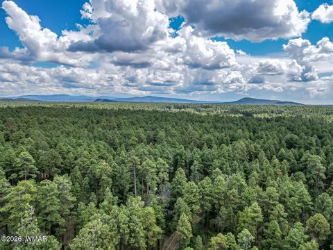 Tiny photo for 3051 Antelope Trail, Pinetop, AZ 85935 (MLS # 259776)