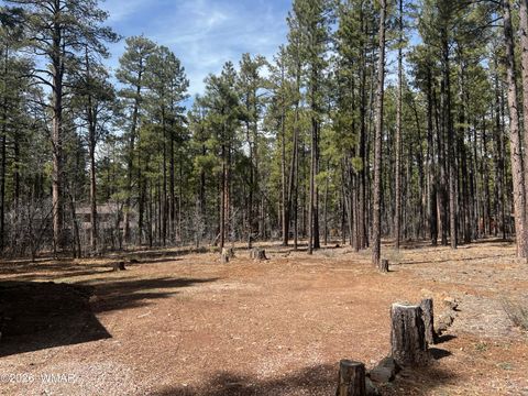Tiny photo for 3051 Antelope Trail, Pinetop, AZ 85935 (MLS # 259776)