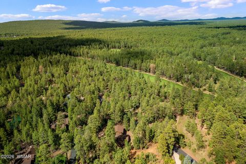 Tiny photo for 3051 Antelope Trail, Pinetop, AZ 85935 (MLS # 259776)