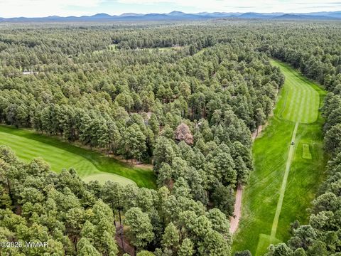 Tiny photo for 3051 Antelope Trail, Pinetop, AZ 85935 (MLS # 259776)