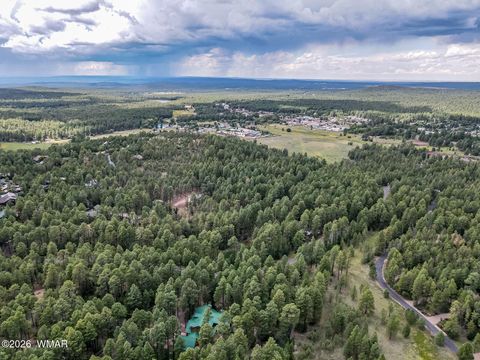 Tiny photo for 3051 Antelope Trail, Pinetop, AZ 85935 (MLS # 259776)