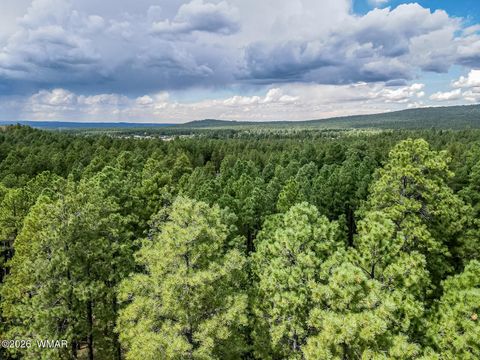 Tiny photo for 3051 Antelope Trail, Pinetop, AZ 85935 (MLS # 259776)