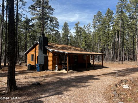 Tiny photo for 3051 Antelope Trail, Pinetop, AZ 85935 (MLS # 259776)