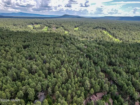 Tiny photo for 3051 Antelope Trail, Pinetop, AZ 85935 (MLS # 259776)