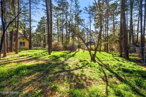 Tiny photo for 1009 Chaparral Drive, Show Low, AZ 85901 (MLS # 259900)