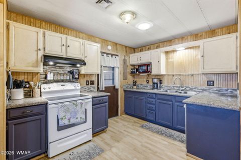 Tiny photo for 1009 Chaparral Drive, Show Low, AZ 85901 (MLS # 259900)