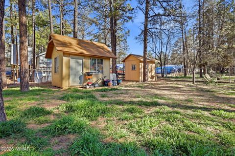 Tiny photo for 1009 Chaparral Drive, Show Low, AZ 85901 (MLS # 259900)