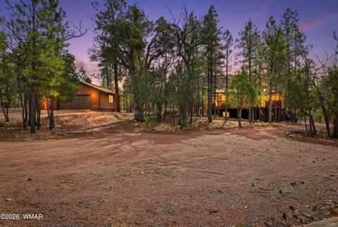 Tiny photo for 2908 Apache Drive, Happy Jack, AZ 86024 (MLS # 259789)
