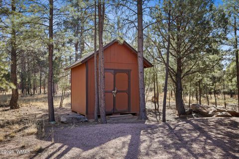 Tiny photo for 2908 Apache Drive, Happy Jack, AZ 86024 (MLS # 259789)