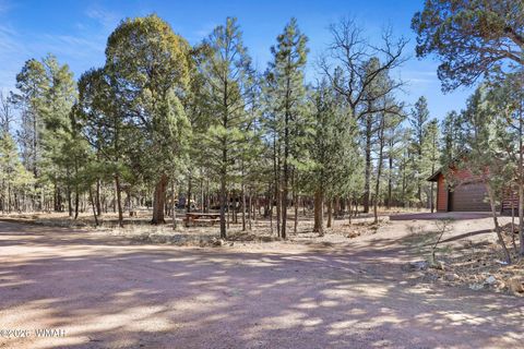 Tiny photo for 2908 Apache Drive, Happy Jack, AZ 86024 (MLS # 259789)