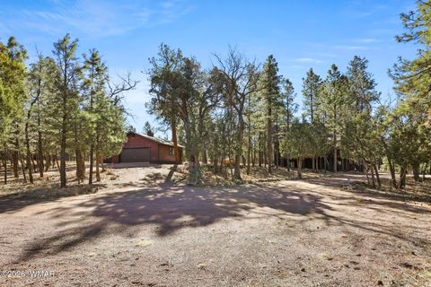 Tiny photo for 2908 Apache Drive, Happy Jack, AZ 86024 (MLS # 259789)