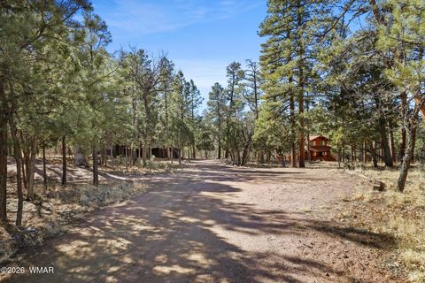 Tiny photo for 2908 Apache Drive, Happy Jack, AZ 86024 (MLS # 259789)