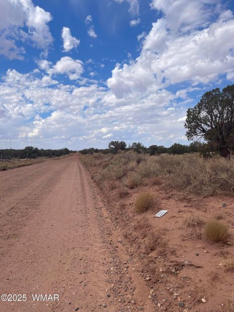 Tiny photo for 4253 Clydesdale Road, Snowflake, AZ 85937 (MLS # 256105)