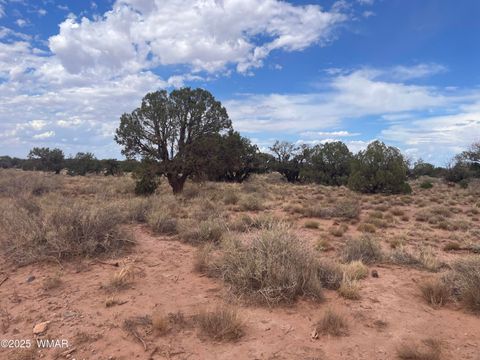 Tiny photo for 4253 Clydesdale Road, Snowflake, AZ 85937 (MLS # 256105)