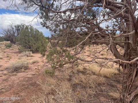 Tiny photo for 4253 Clydesdale Road, Snowflake, AZ 85937 (MLS # 256105)