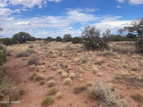 Photo of 4253 Clydesdale Road, Snowflake, AZ 85937 (MLS # 256105)