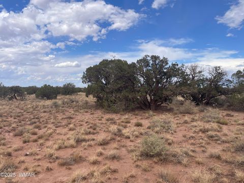 Tiny photo for 4253 Clydesdale Road, Snowflake, AZ 85937 (MLS # 256105)