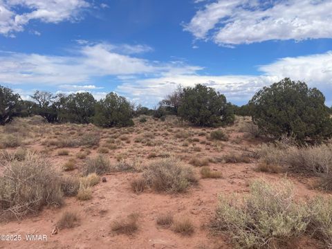 Tiny photo for 4253 Clydesdale Road, Snowflake, AZ 85937 (MLS # 256105)