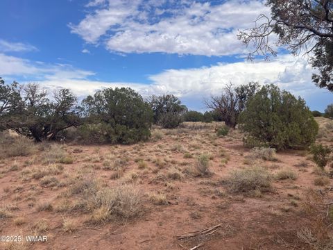 Tiny photo for 4253 Clydesdale Road, Snowflake, AZ 85937 (MLS # 256105)