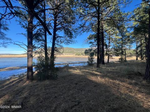 Tiny photo for 314 County Road 2108, Nutrioso, AZ 85932 (MLS # 253656)