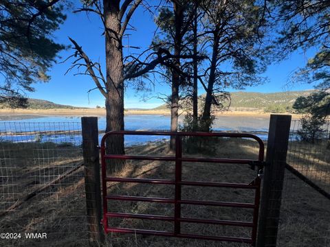 Photo of 314 County Road 2108, Nutrioso, AZ 85932 (MLS # 253656)