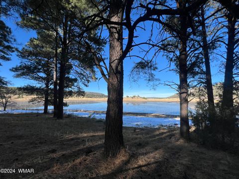 Tiny photo for 314 County Road 2108, Nutrioso, AZ 85932 (MLS # 253656)