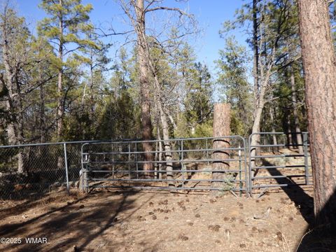 Tiny photo for 406 W Whispering Pines Lane, Pinetop, AZ 85935 (MLS # 255108)