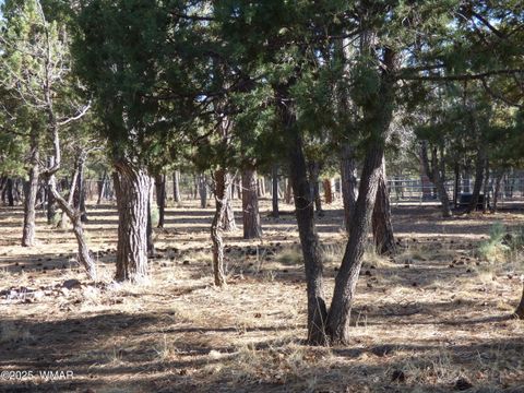 Tiny photo for 406 W Whispering Pines Lane, Pinetop, AZ 85935 (MLS # 255108)