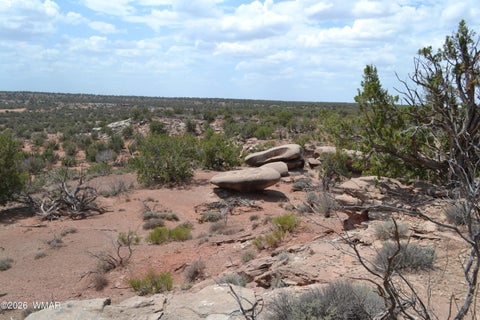Tiny photo for 3813 S Hay Hollow Road, Snowflake, AZ 85937 (MLS # 262246)