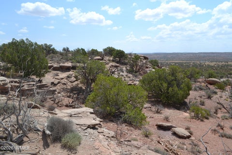 Tiny photo for 3813 S Hay Hollow Road, Snowflake, AZ 85937 (MLS # 262246)