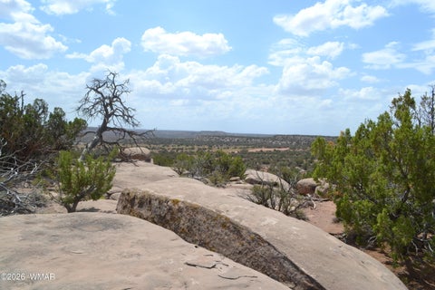 Tiny photo for 3813 S Hay Hollow Road, Snowflake, AZ 85937 (MLS # 262246)
