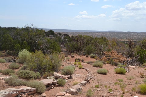 Tiny photo for 3813 S Hay Hollow Road, Snowflake, AZ 85937 (MLS # 262246)