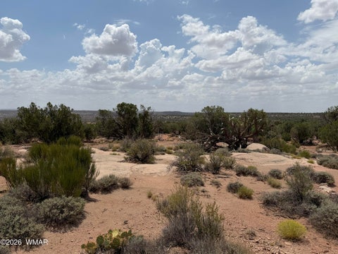 Tiny photo for 3813 S Hay Hollow Road, Snowflake, AZ 85937 (MLS # 262246)